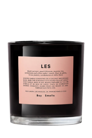Boy Smells Standard Candle | Les