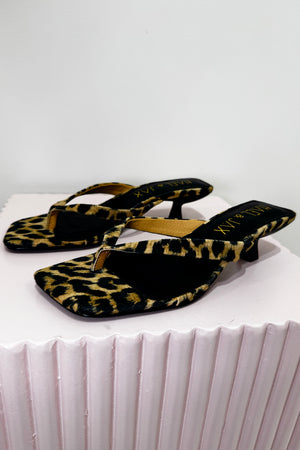 Hael & Jax Astute Kitten Heel | Leopard
