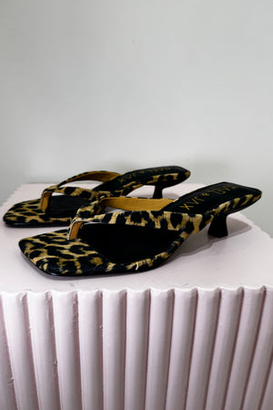 Hael & Jax Astute Kitten Heel | Leopard