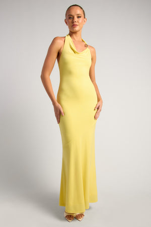 Chosen By Fifi & Annie The Jennifer Cowl Neck Maxi Dress | Lemoncello