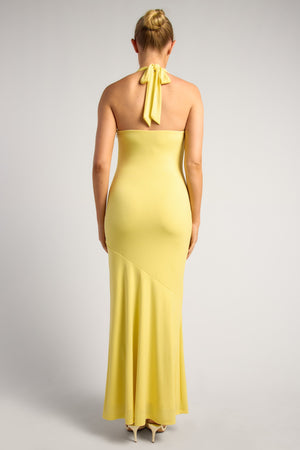 Chosen By Fifi & Annie The Jennifer Cowl Neck Maxi Dress | Lemoncello