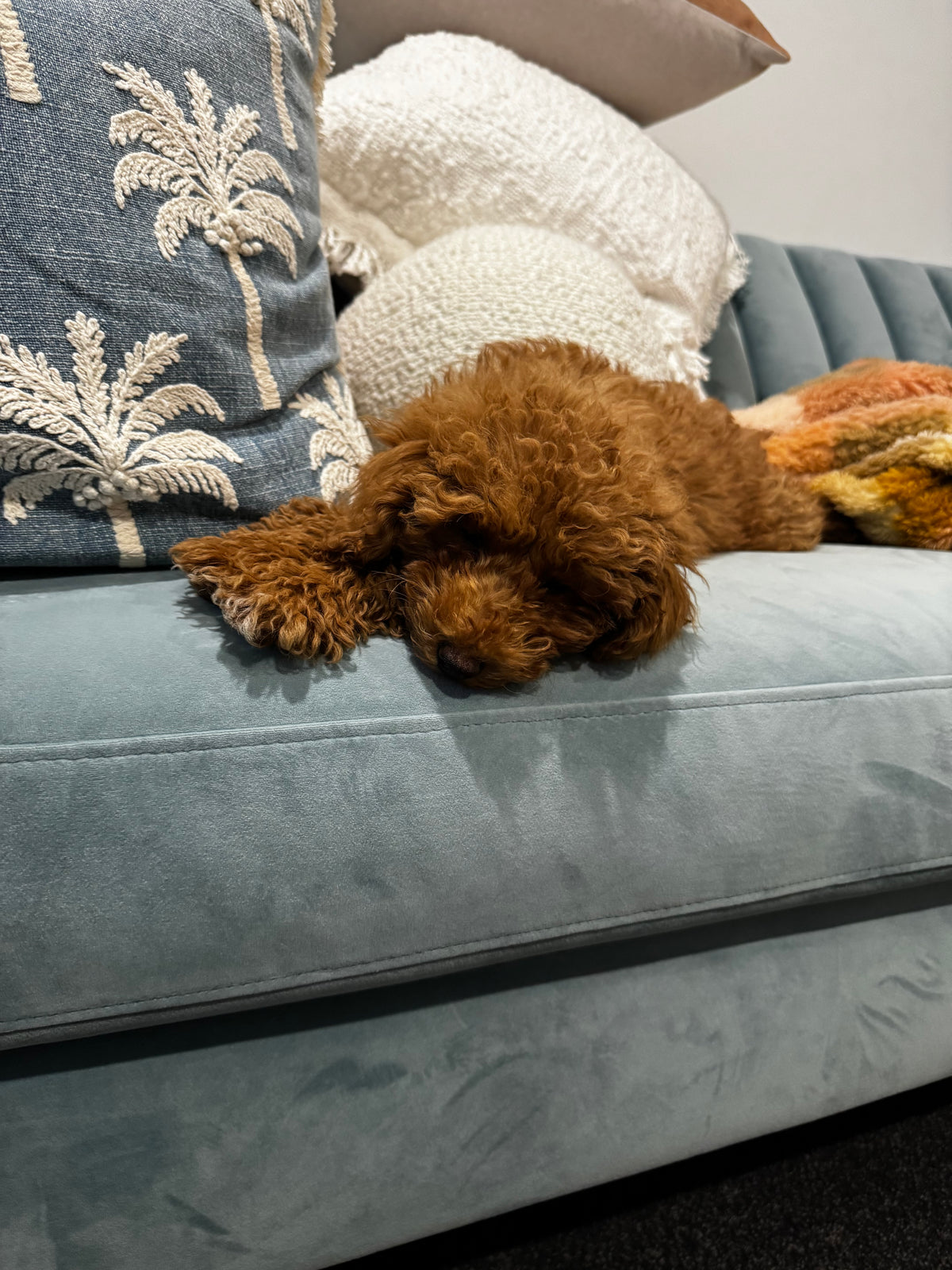 Siren Chloe Thong Wedges | Almond Tan Leather