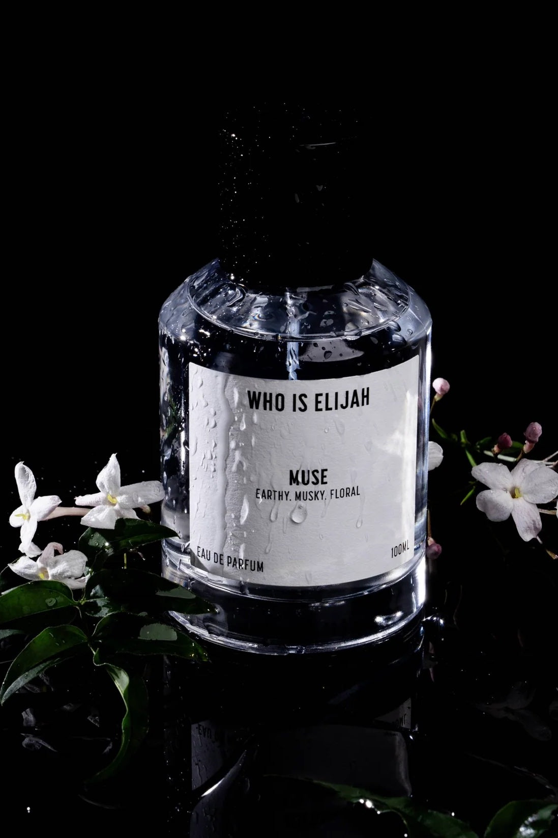 Who Is Elijah MUSE | Earthy, Musky, Floral