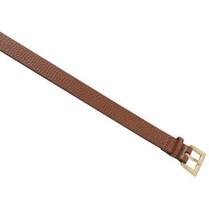 Status Anxiety Part Of Me Belt | Tan/Gold