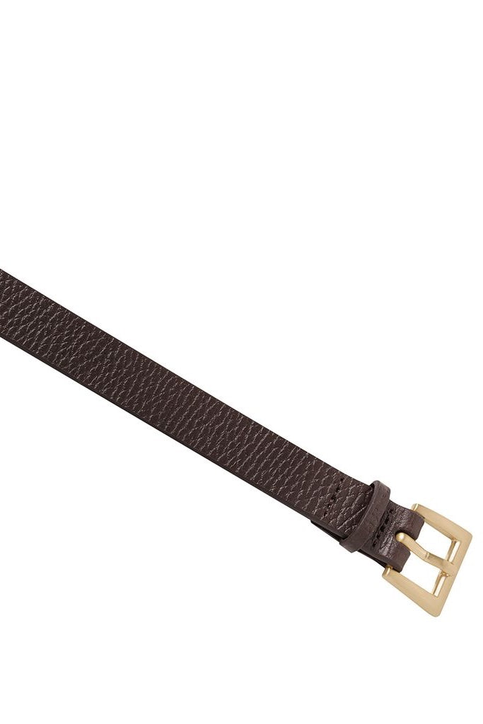Status Anxiety Part Of Me Belt | Chocolate/Gold