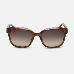 Locello Harmony Sunglasses | Tortoiseshell / Gold Brown