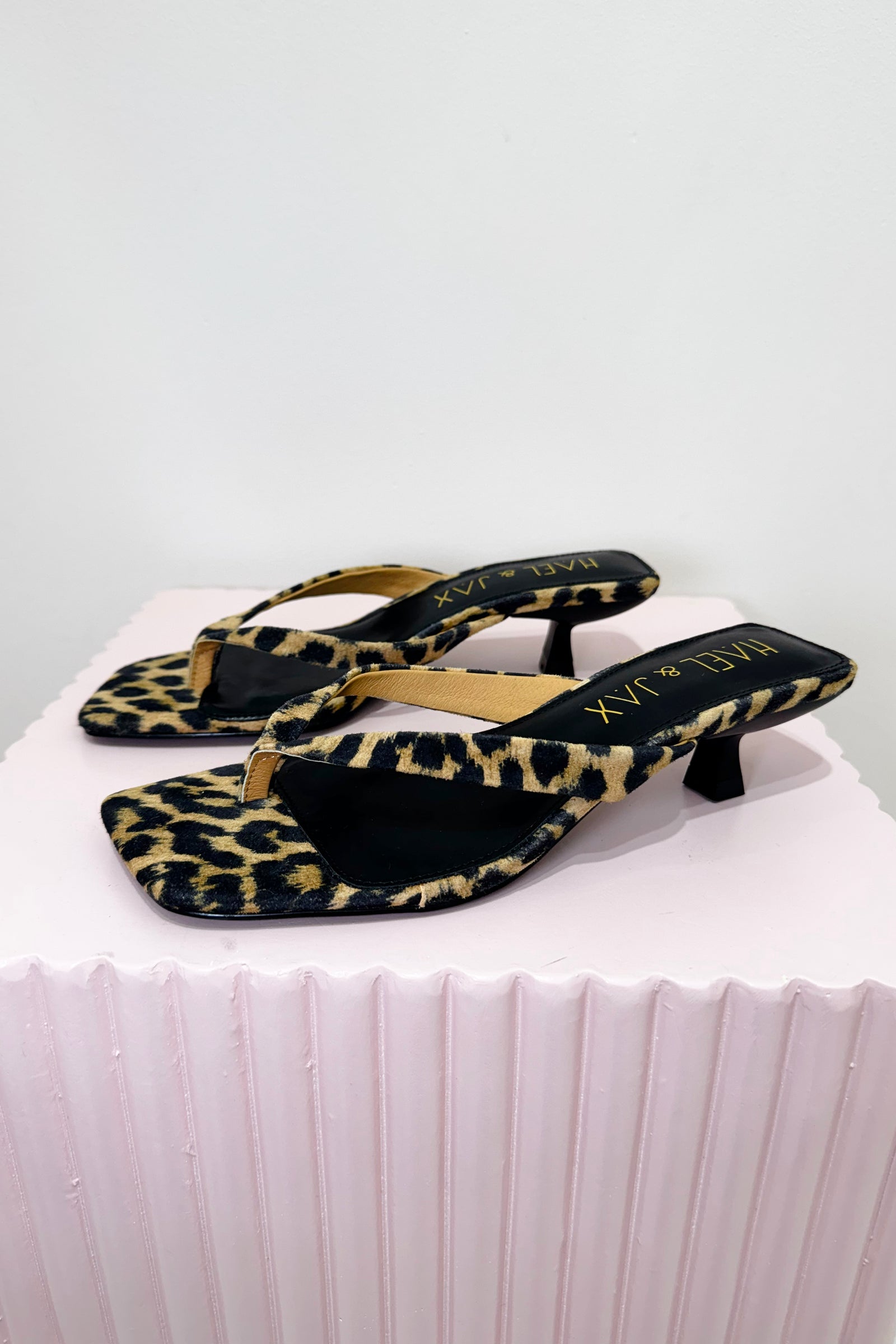 Hael & Jax Astute Kitten Heel | Leopard