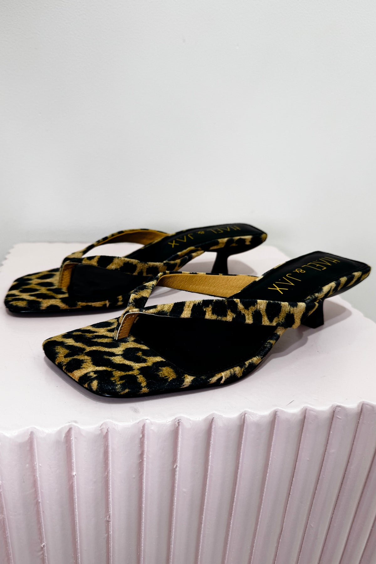 Hael & Jax Astute Kitten Heel | Leopard
