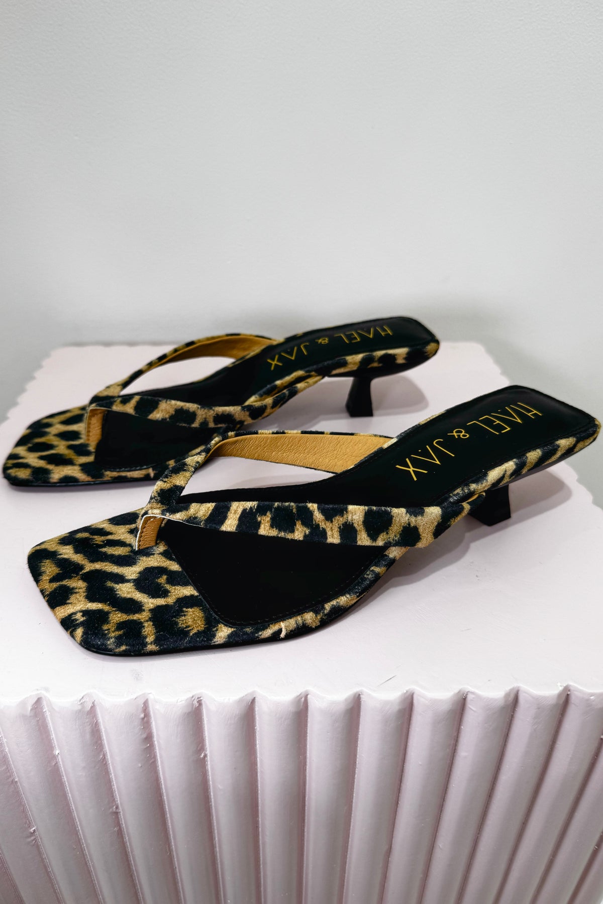 Hael & Jax Astute Kitten Heel | Leopard