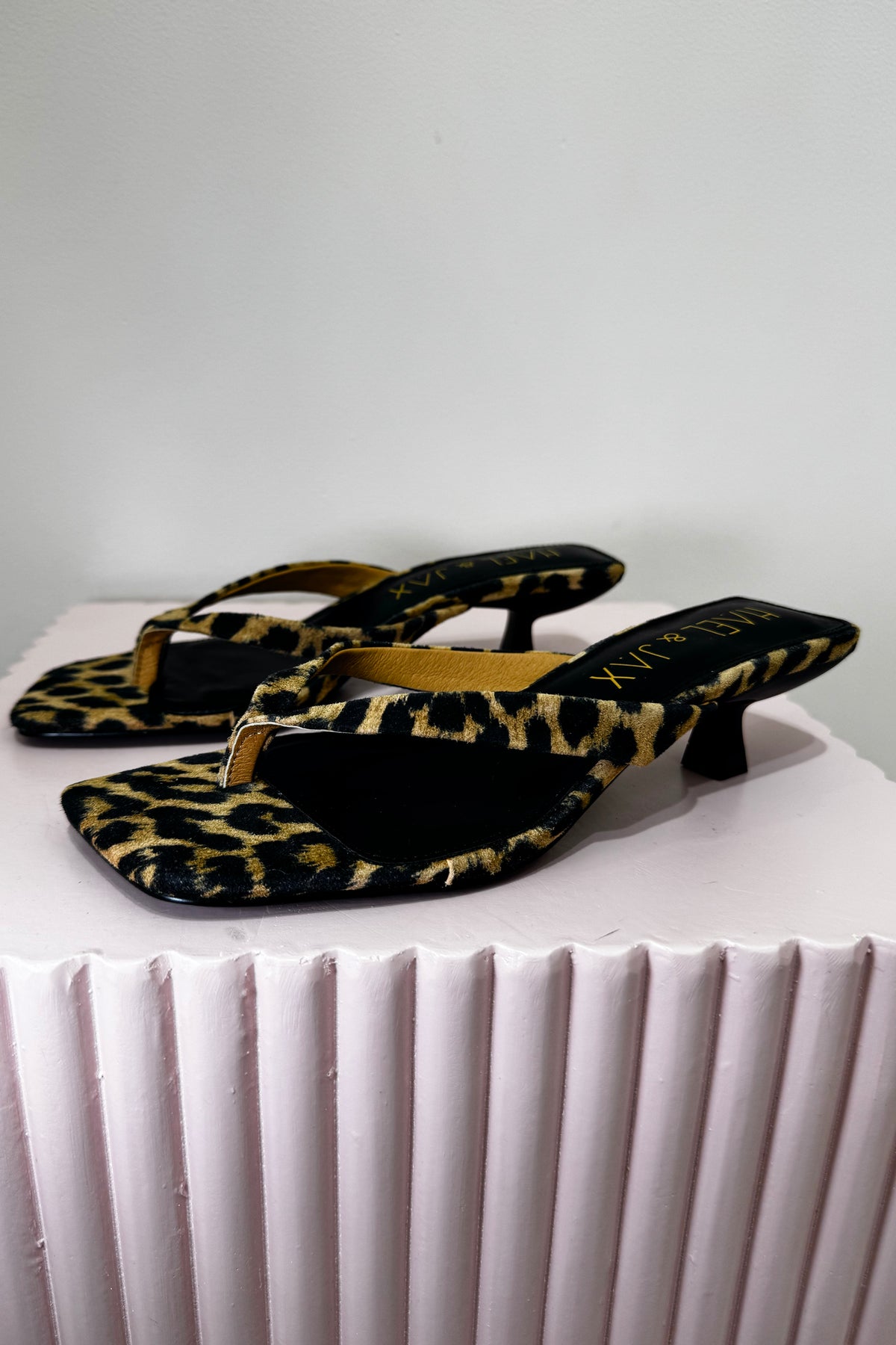 Hael & Jax Astute Kitten Heel | Leopard