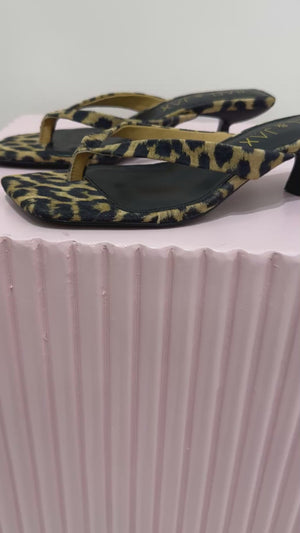 Hael & Jax Astute Kitten Heel | Leopard