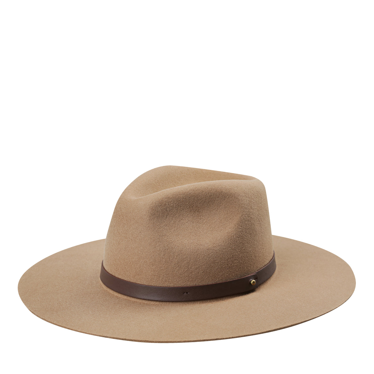 Status Anxiety No Stopping Us Hat | Camel
