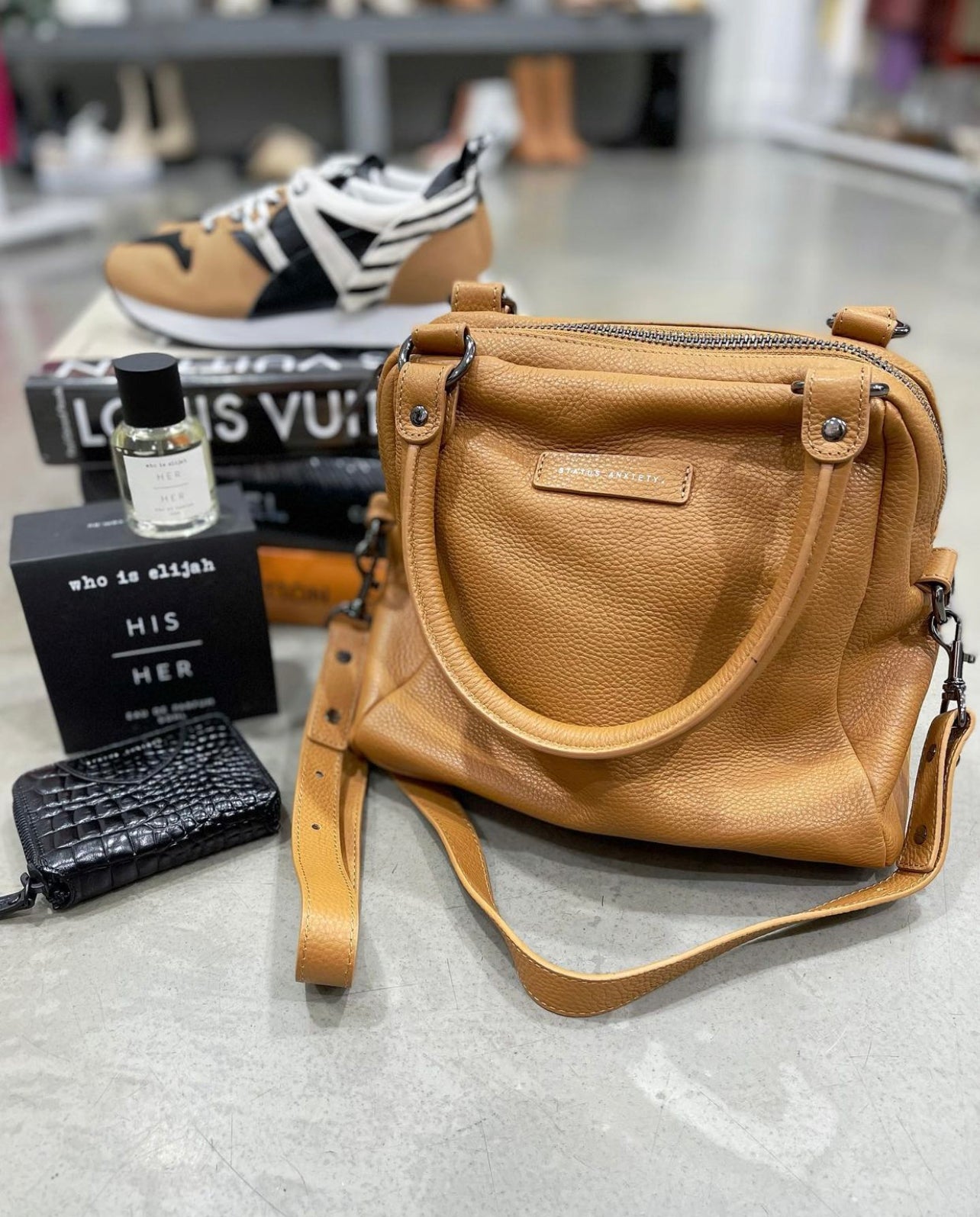 Status Anxiety Last Mountains Bag | Tan