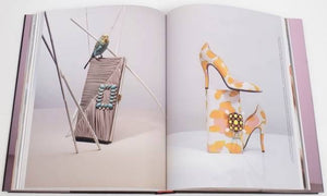 Roger Vivier Book